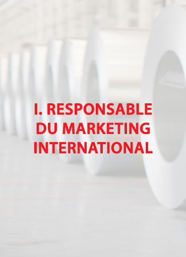 I. Responsable Du Marketing International